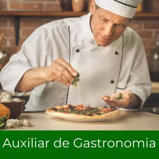 Curso Profissional Auxiliar de Gastronomia